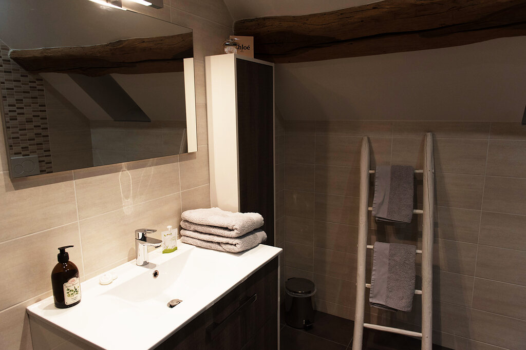 Le meuble vasque et le porte-serviettes