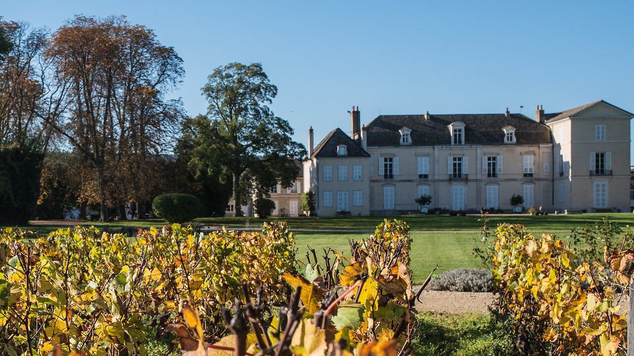 Les vignes de la Côte de Beaune en automne